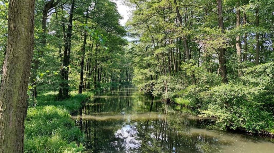 Spreewald Spreemilia Gurkenbude Lübbenau Kültér fotó